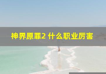 神界原罪2 什么职业厉害